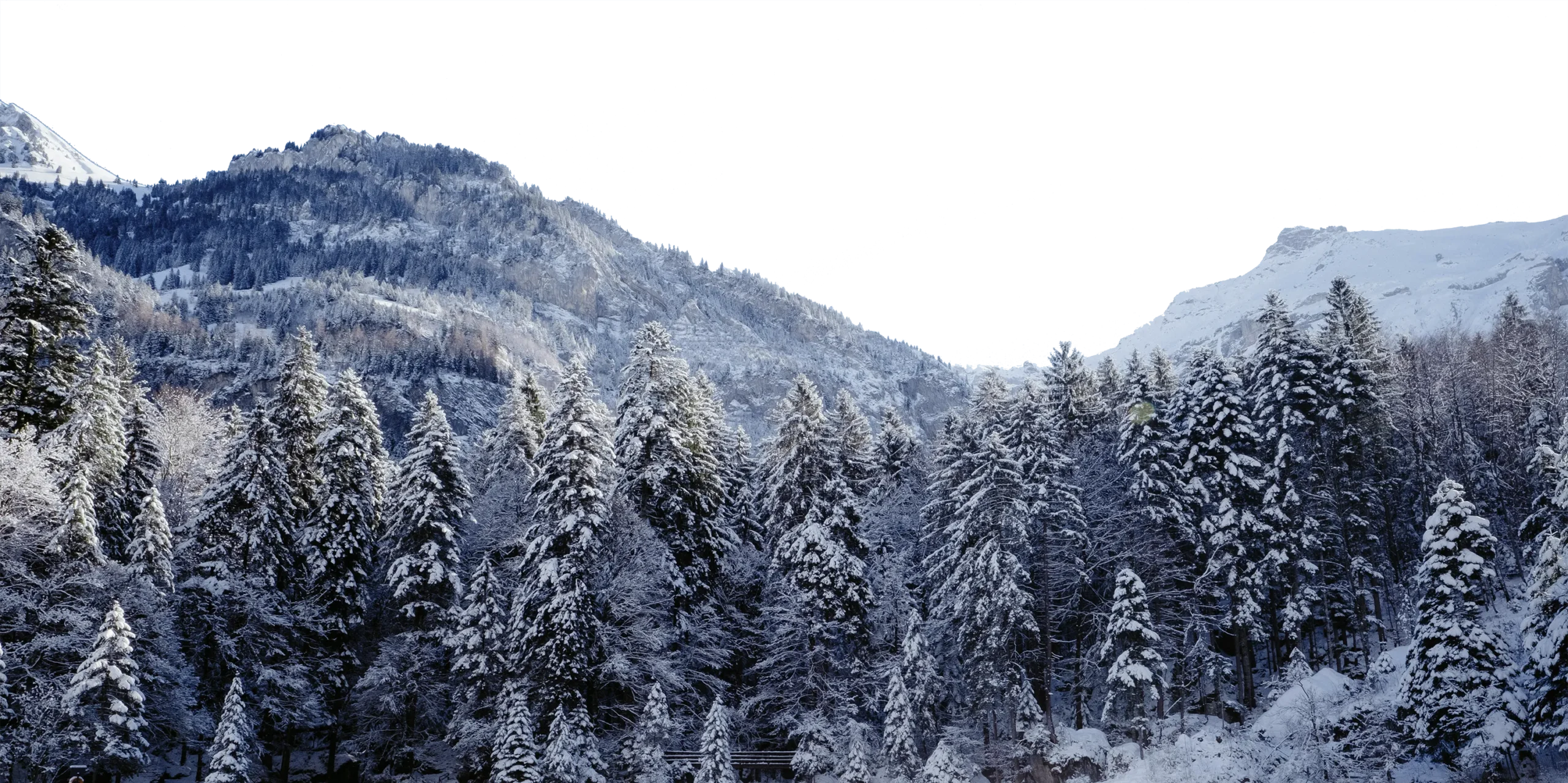 Hora edit_cutout copy