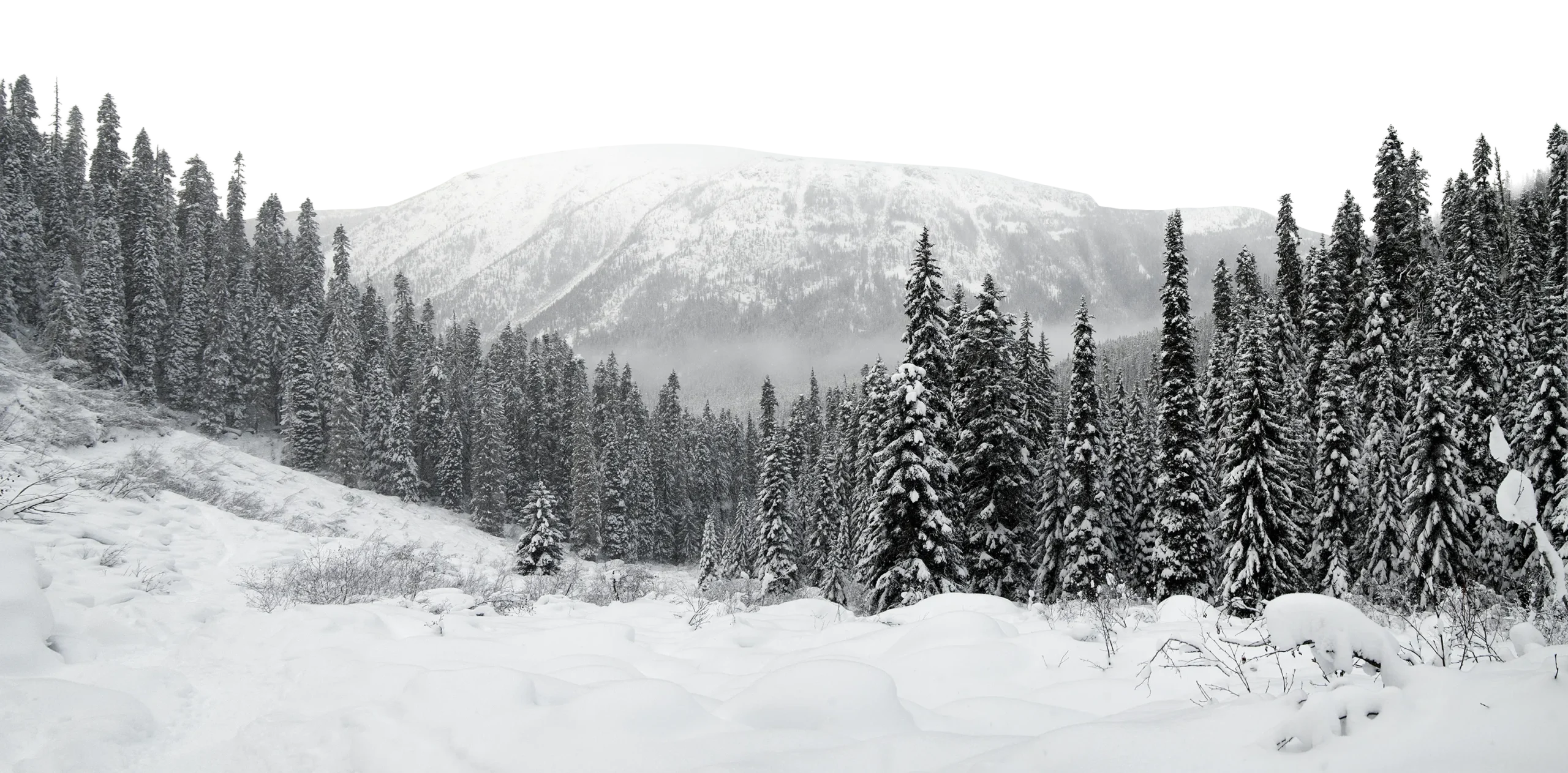 hora footer mood cutout copy