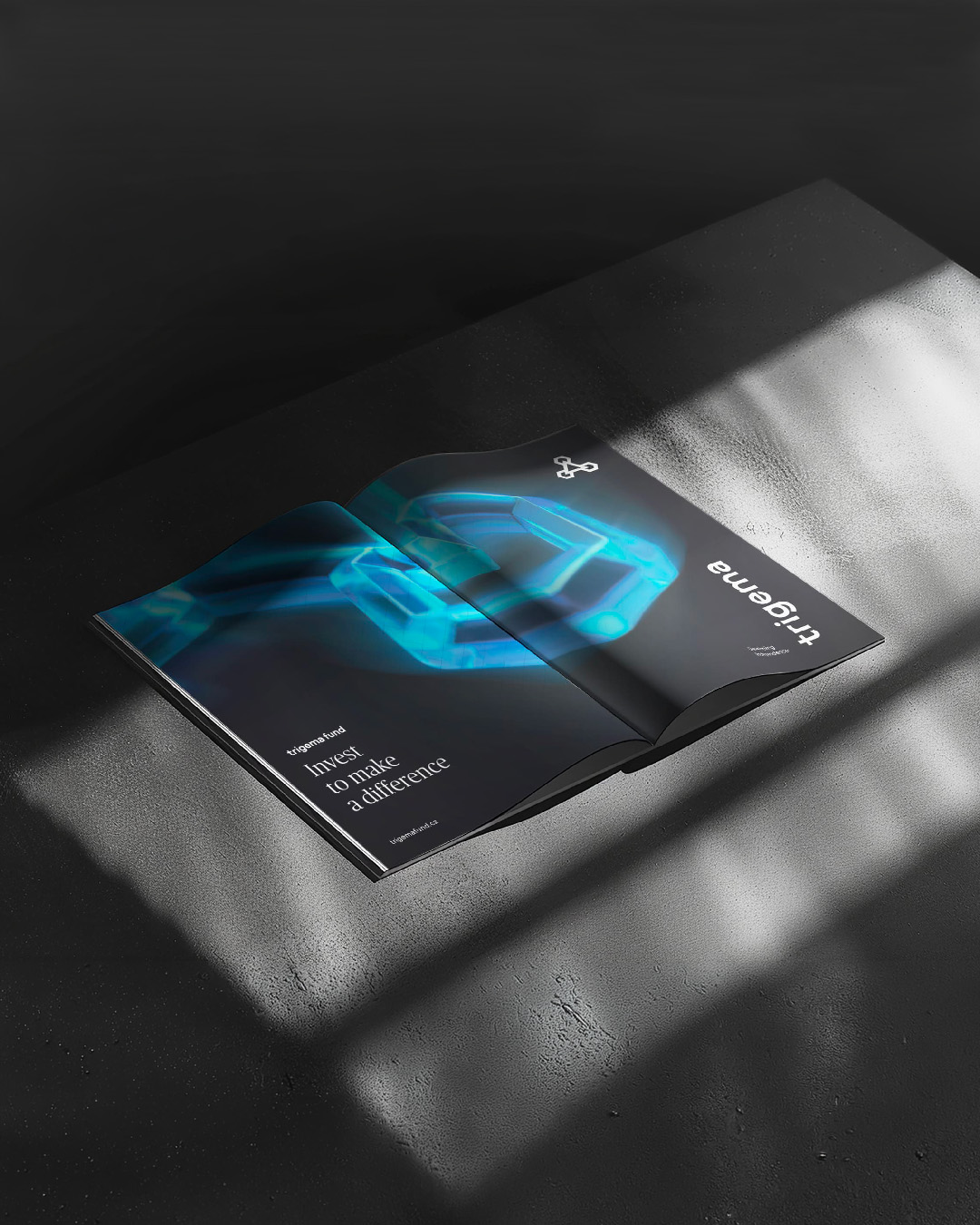Trigema-fund-print